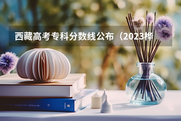 西藏高考专科分数线公布（2023桦甸中考录取分数线最新公布）