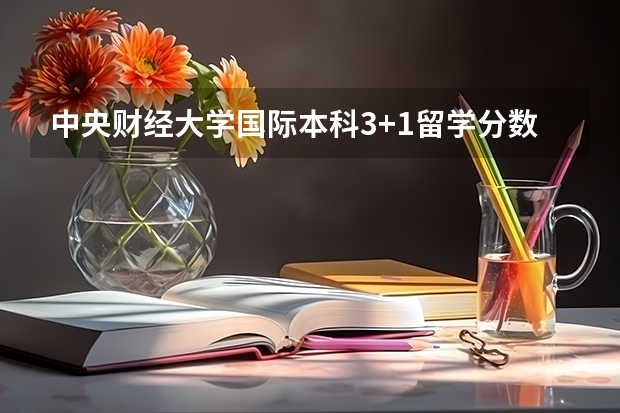 中央财经大学国际本科3+1留学分数线 湖南高考总分及各科分数