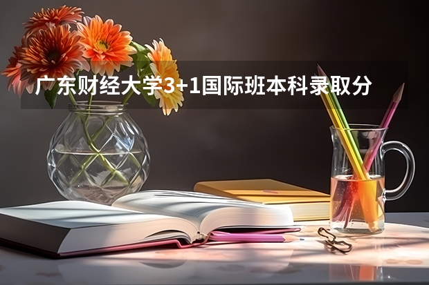 广东财经大学3+1国际班本科录取分数线（全国高考总分及各科分数）