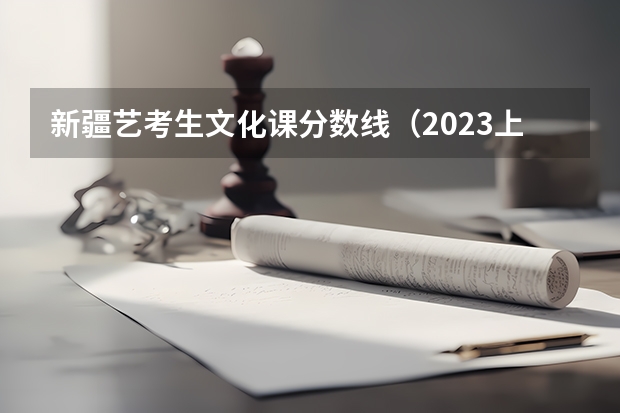 新疆艺考生文化课分数线（2023上海中考投档控制分数线公布）