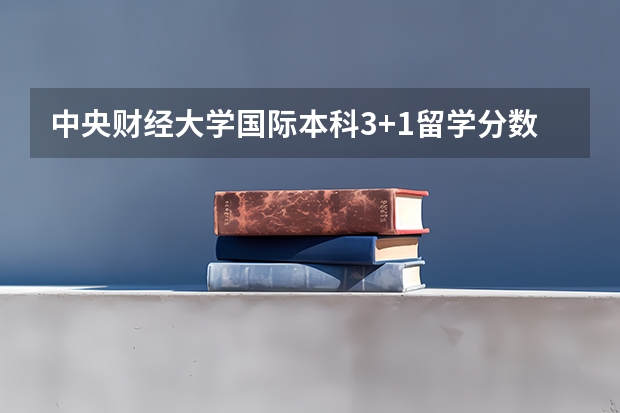 中央财经大学国际本科3+1留学分数线（2023新余渝水区中考普高录取分数线公布）