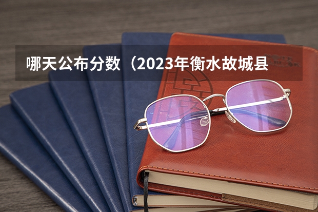 哪天公布分数（2023年衡水故城县中考分数线）