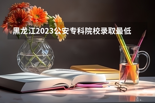 黑龙江2023公安专科院校录取最低分数线 黑龙江高考总分及各科分数表