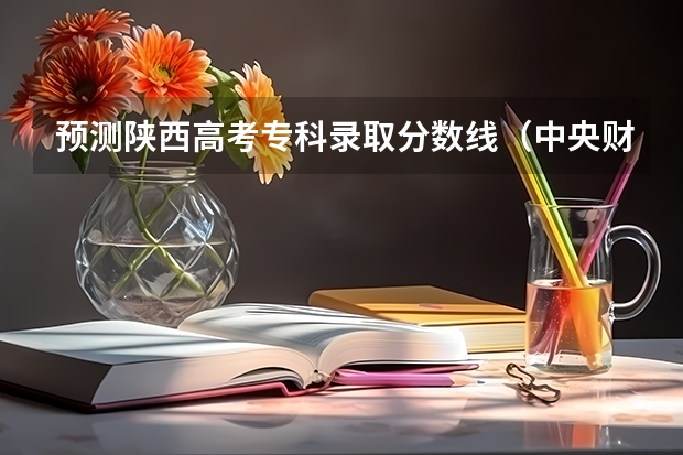 预测陕西高考专科录取分数线（中央财经大学国际本科3+1留学分数线）