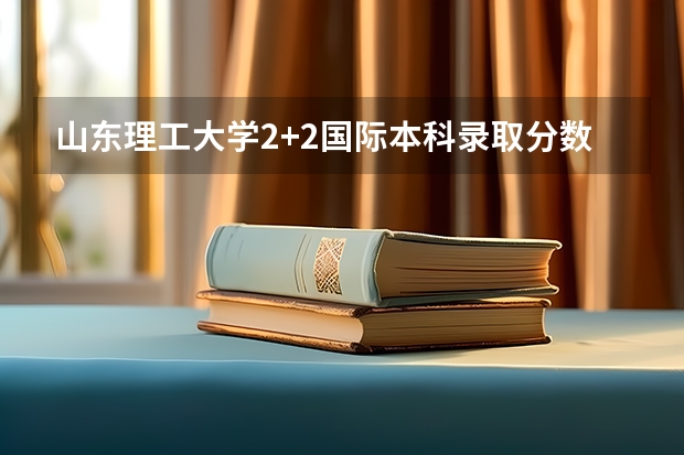 山东理工大学2+2国际本科录取分数线 中央财经大学国际本科3+1留学分数线