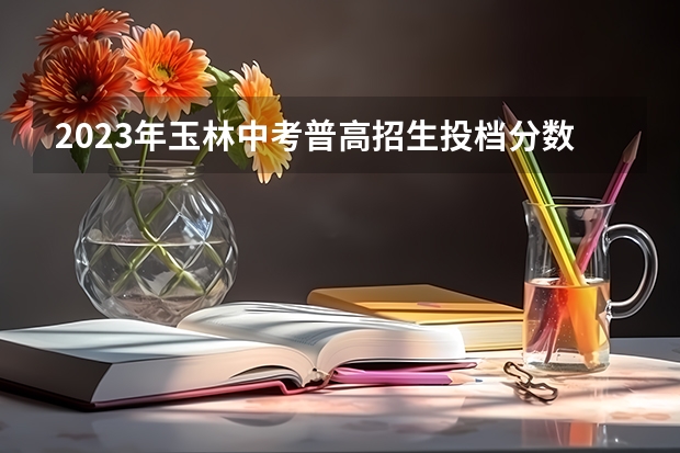 2023年玉林中考普高招生投档分数线公布（上海春季高考分数线及最低录取控制线公布）