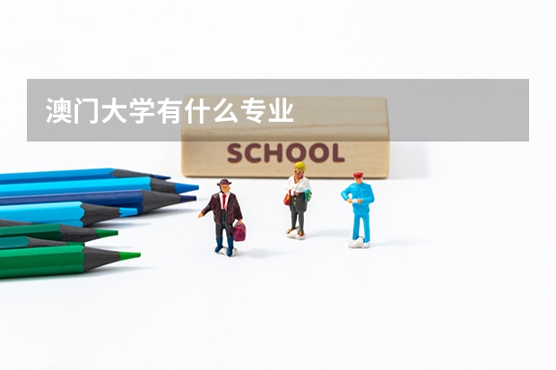 澳门大学有什么专业