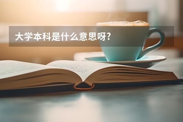 大学本科是什么意思呀?