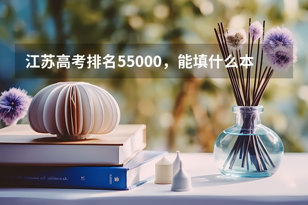 江苏高考排名55000，能填什么本二院校