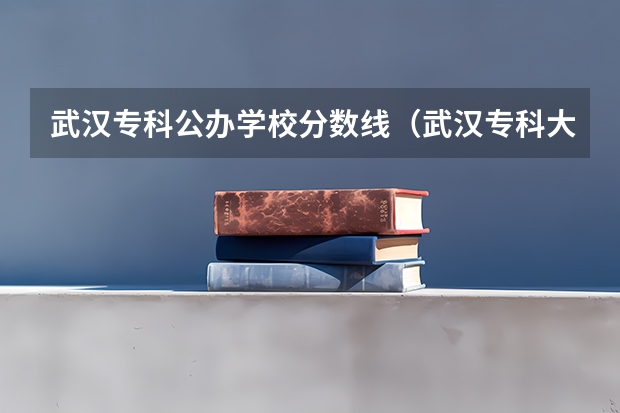 武汉专科公办学校分数线（武汉专科大学排名文科）