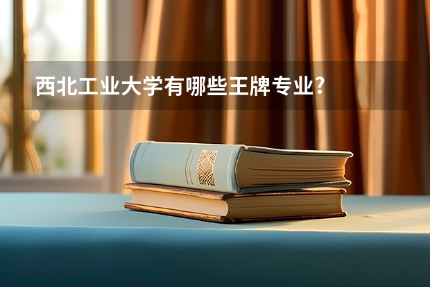 西北工业大学有哪些王牌专业?