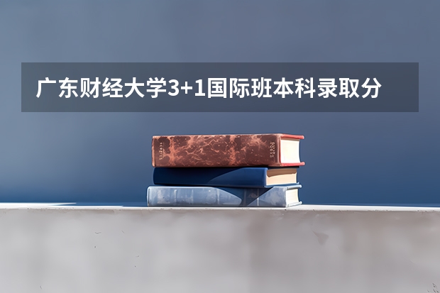 广东财经大学3+1国际班本科录取分数线 2023年焦作沁阳中考分数线