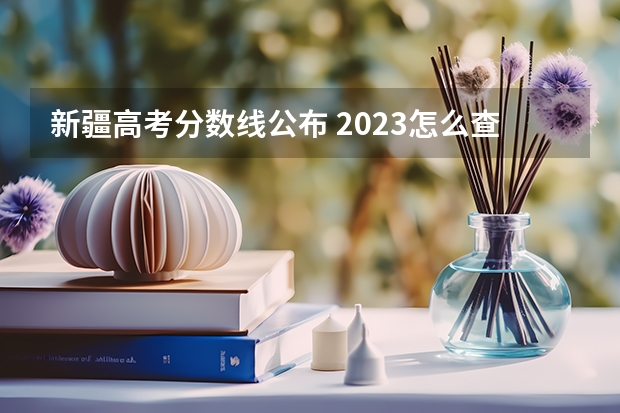 新疆高考分数线公布 2023怎么查中考录取学校分数线