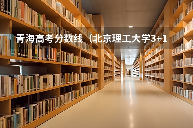 青海高考分数线（北京理工大学3+1国际班招生分数线）