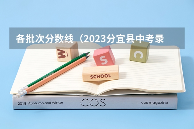 各批次分数线（2023分宜县中考录取分数线最新公布）